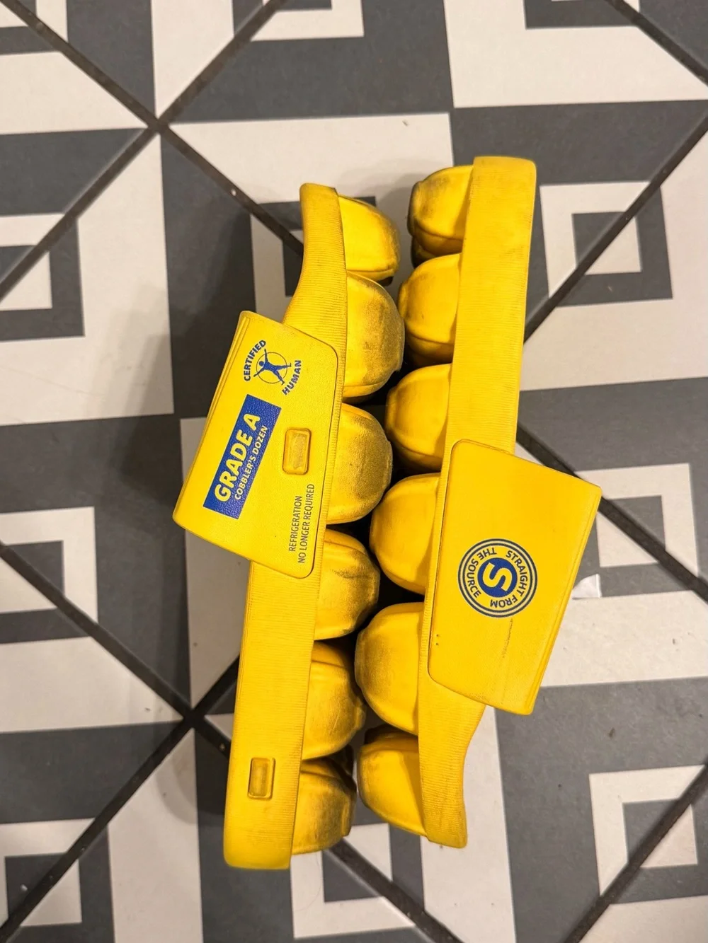 Meow Wolf Cage Free Egg Shoes